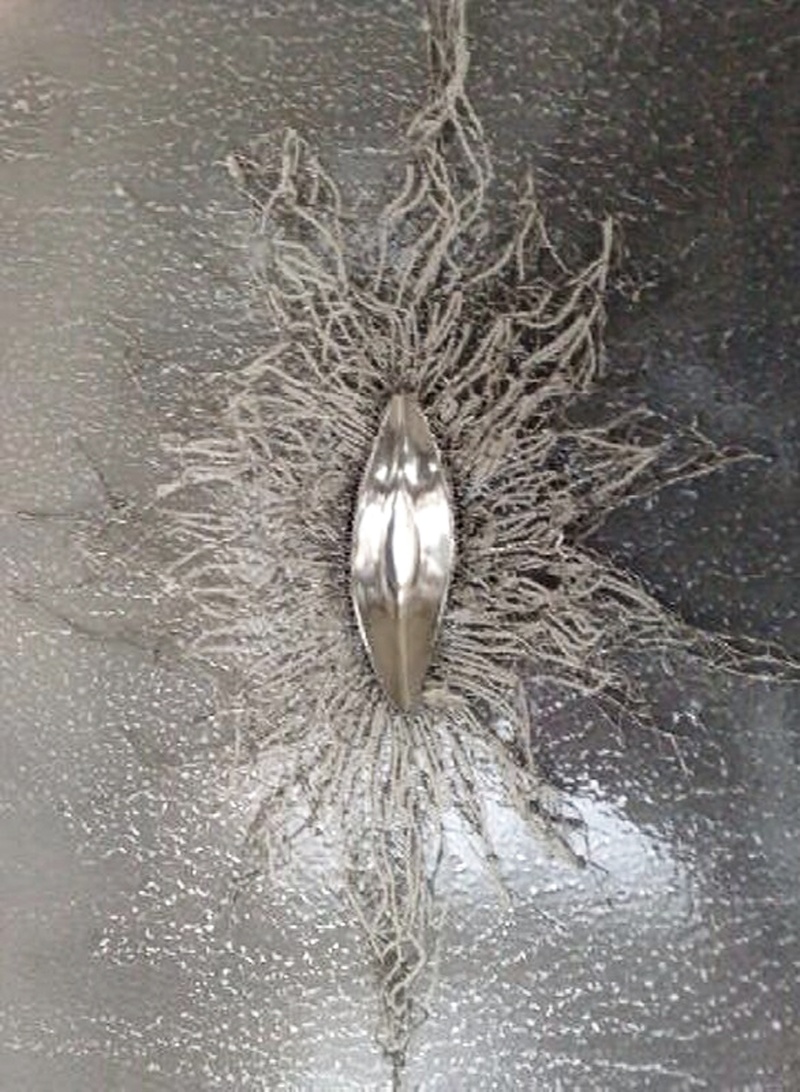 The Immaculate Conception